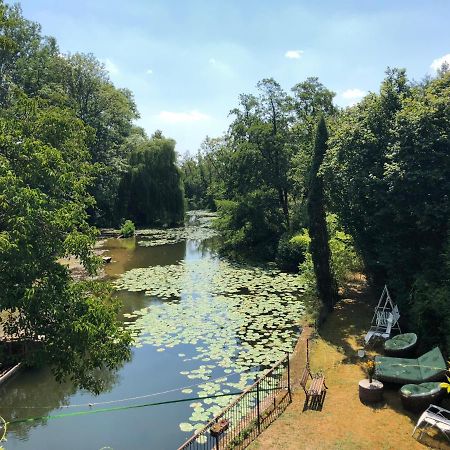 Vila Magnifique Moulin Proche Chablis, Jacuzzi Et Riviere Annay-sur-Serein Exteriér fotografie