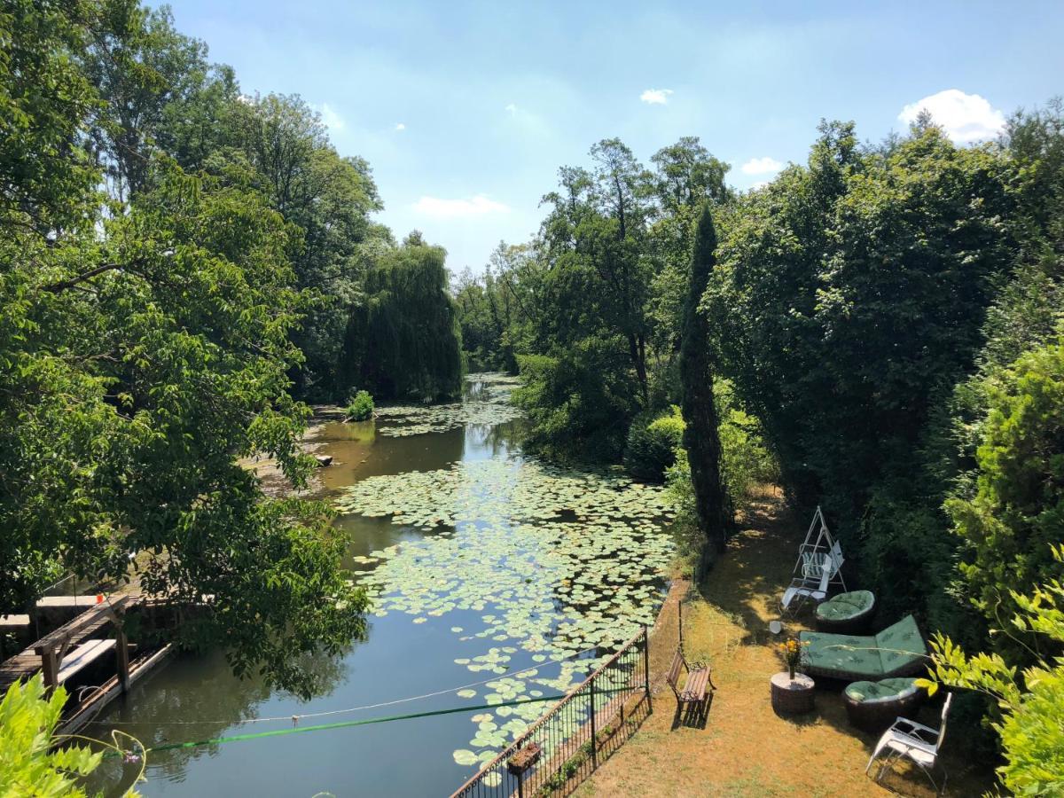 Vila Magnifique Moulin Proche Chablis, Jacuzzi Et Riviere Annay-sur-Serein Exteriér fotografie