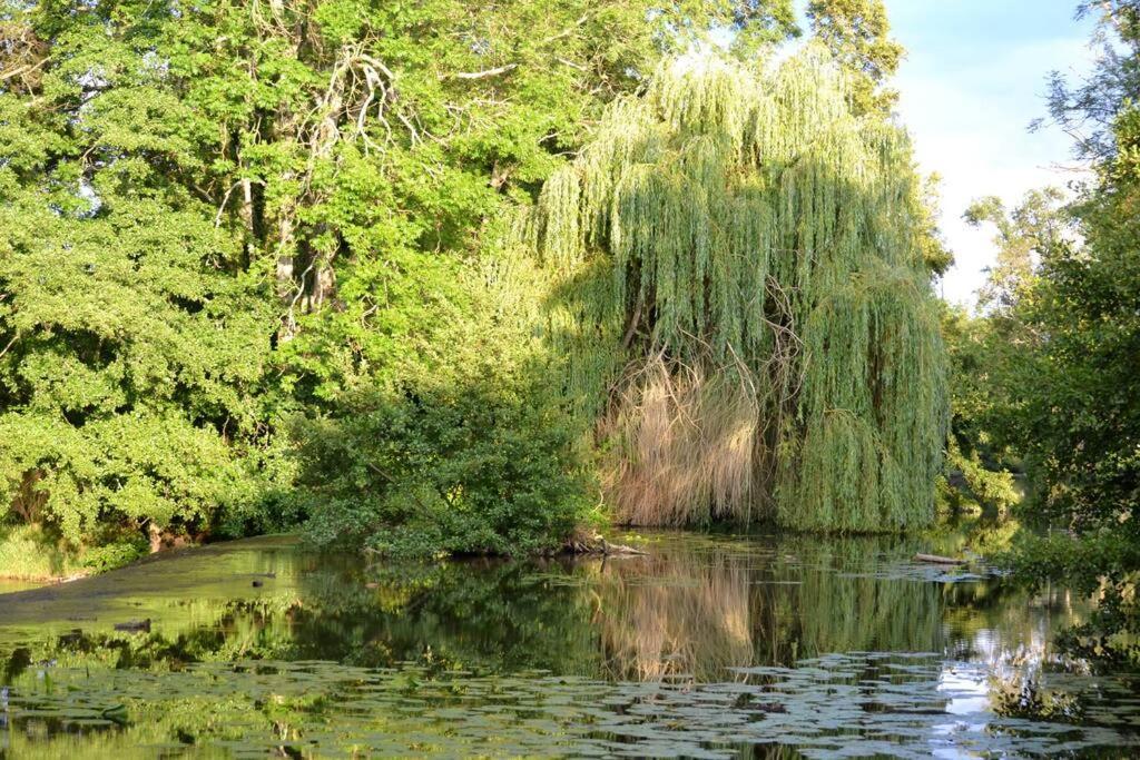 Vila Magnifique Moulin Proche Chablis, Jacuzzi Et Riviere Annay-sur-Serein Exteriér fotografie