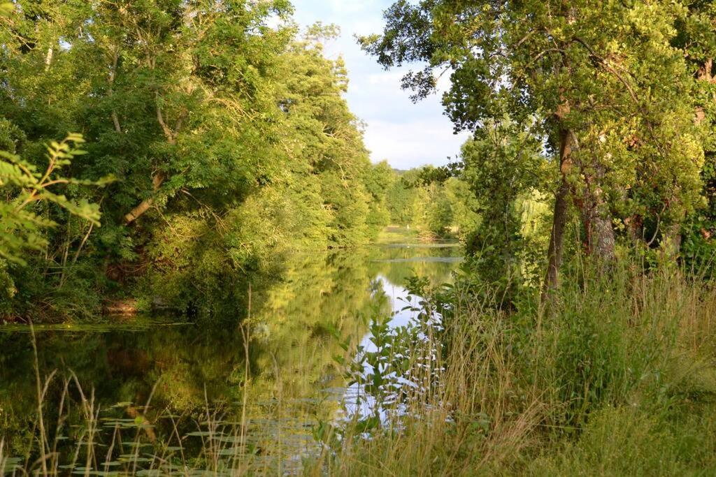 Vila Magnifique Moulin Proche Chablis, Jacuzzi Et Riviere Annay-sur-Serein Exteriér fotografie