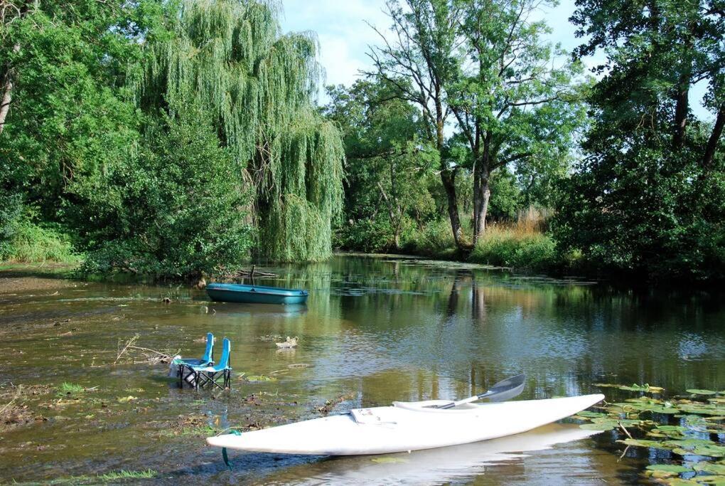 Vila Magnifique Moulin Proche Chablis, Jacuzzi Et Riviere Annay-sur-Serein Exteriér fotografie