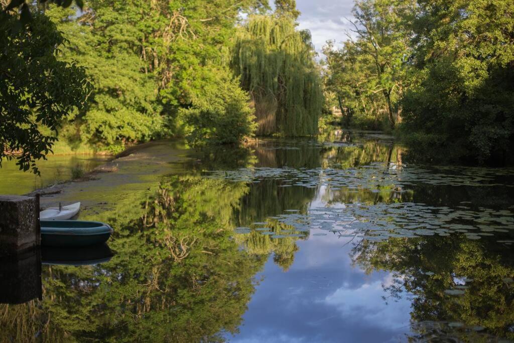 Vila Magnifique Moulin Proche Chablis, Jacuzzi Et Riviere Annay-sur-Serein Exteriér fotografie