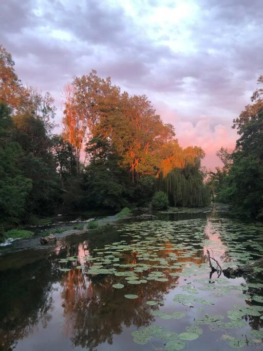 Vila Magnifique Moulin Proche Chablis, Jacuzzi Et Riviere Annay-sur-Serein Exteriér fotografie