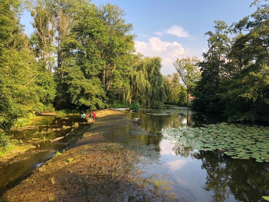 Vila Magnifique Moulin Proche Chablis, Jacuzzi Et Riviere Annay-sur-Serein Exteriér fotografie