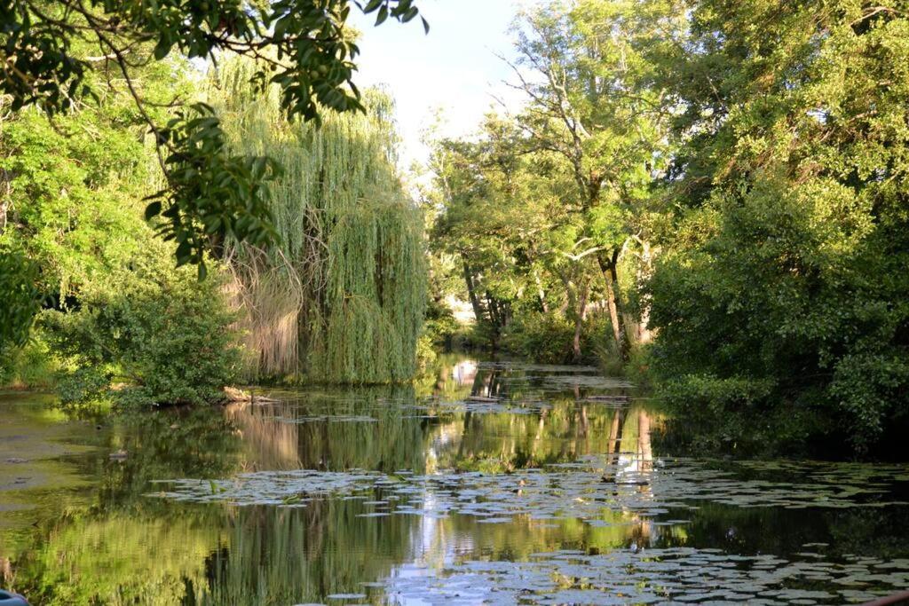 Vila Magnifique Moulin Proche Chablis, Jacuzzi Et Riviere Annay-sur-Serein Exteriér fotografie